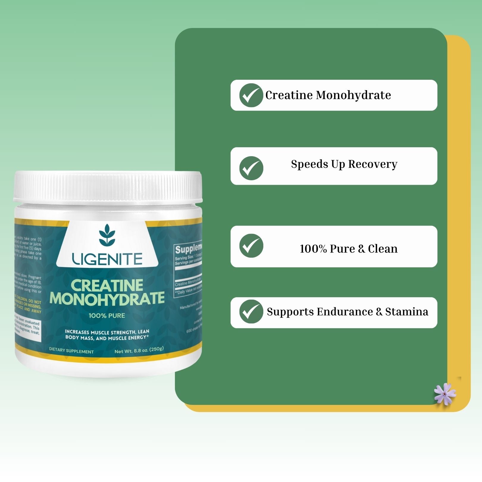 CREATINNE  MONOHYDRATE